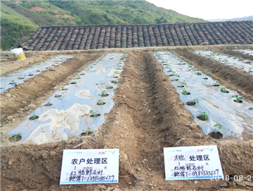 1539163079495473Vpn5.png 圖片1.png