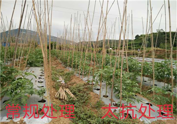 1539163409805571DE02.png 圖片13.png