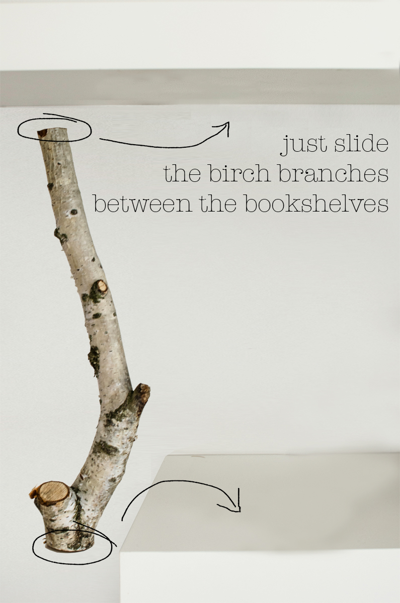 DIY Birch Branches 
